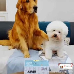 New stock食力萌主宠物狗狗训练洁齿骨磨牙宠物零食六棱角型磨牙棒洁牙棒Strength Cute King Pet Dog Training Dental Chew Stick Treats Snack teething 20g