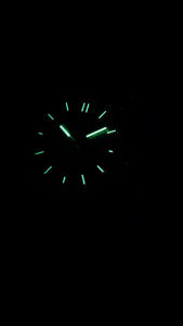 US Master Polo Club USM-DD36 (40mm) ประกันศูนย์ 1 ปี