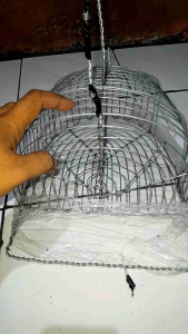 Sangkar Pikat Jebak Perkutut: Desain Unik & Tahan Lama