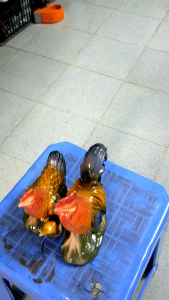 Cặp gà trống mái trang trí tiểu cảnh