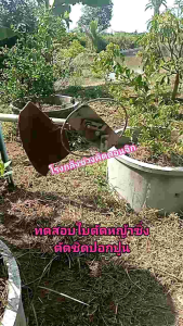 ใบตัดหญ้า (1ชุดมี2ใบ) (เฉพาะใบมีดเล็ก) สำหรับใส่ใบมีดตัดหญ้าซิ่งรุ่นอัพเกรด ใบมีดตัดหญ้า ใบมีดตัดหญ้า 2 ใบ - Lazada