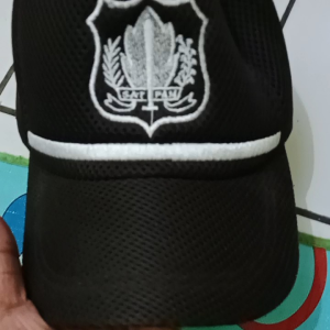 Topi Satpam, Security, PNS, Camat & Dabelmes: Pilihan Terbaik
