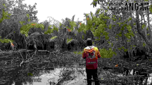 Soft Frog Mini 3D Si Sangar 3 Cm Umpan Casting Gabus