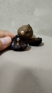 bawang hitam Lanang/tunggal#bawang kesehatan