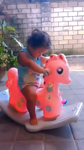 Mainan Kuda Jungkat-Jungkit & Dorong Anak: Panduan Lengkap