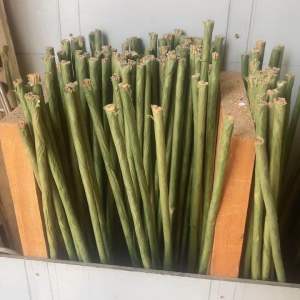 kẽm cành làm hoa (combo 10c) - uốn cong được