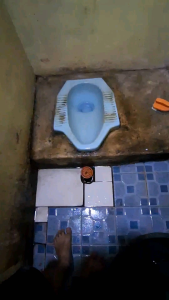 Pembersih Kerak Toilet & Porselen 1lt: Panduan Lengkap