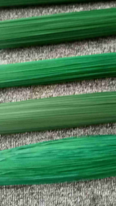 Kawat Bunga Lapis Plastik 100 Gram: Panduan Komprehensif