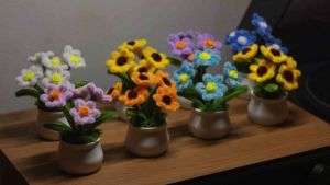 กระถางดอกไม้กำมะหยีจิ๋ว มินิมอล 9x14cm