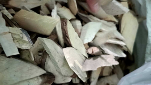 1kg Cây Quao - phơi khô