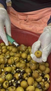 เลือกใช้ที่คว้านเม็ดลำไย ตุ๊ดตู่เจาะลำไย แกะลำไยสด - น้ำมันใหม่ พร้อมบริการผู้ที่ดูแล