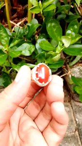 Cincin Batu Mustika Red Carnelian: Manfaat dan Kegunaannya