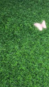 Paket Komplit Slime Kit Hadiah Anak Perempuan TK SD SMP