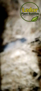 12 to 15 meters length & 4mm. diameter Coconut Rope Coco Rope for DIY Cocopole for Plants | Coco Fiber | Coco Twine