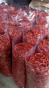 MURAH 1 KG PACKING CABE CAPLAK /CENGEK KERING FRES KWALITAS SUPER NO1