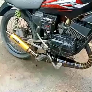 Knalpot RX KING Kolong Cobra Belang Hitam Gold