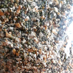 Jagung Campur Repack 1kg Pakan Burung dan Ayam