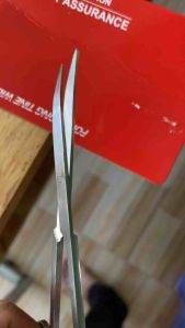 Kéo inox mỏ cong và mỏ thẳng siêu bén cắt tỉa lông gà