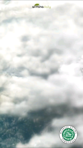 Original Susu Kolostrum Dailystrum