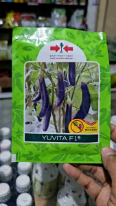 Benih Terong Yuvita F1 Panah Merah 1100 butir