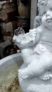 ชุดน้ำพู บ้านบ้าน หรืองูบกระชับ ฟรีปั้มน้ำ เป็นชุดน้ำพู อ่างน้ำพู อ่างน้ำล้น อ่างน้ำหน้าบ้าน อ่างน้ำจัดสวน น้ำพู