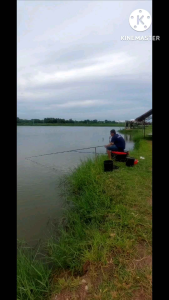 คันชิงหลิวQIANG LONG 5H