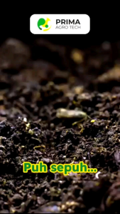 DECOPRIMA - BIO DECOMPOSER 100 gram