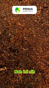 HUMATOP Pembenah Tanah Organik - 100 gram