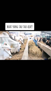 FML 2 Liter: Sumber Protein & Asam Amino Ternak