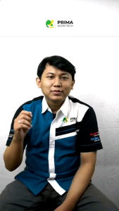 Metarizep Bio Insektisida. Membasmi Kumbang Tanduk Kutu daun wereng coklat