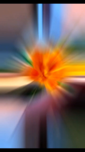 handmade crafts flowersmade of fuzzy wire beautiful roses  handmade with love and perfect for any occasion such as graduation valentines day debut and souvenirs for christenings and weddings