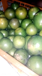 Jeruk Peras Segar: Manfaat Kesehatan & Diet