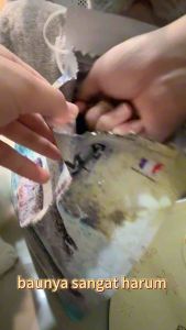 【Cat Food】PrimeCut Cat Food 1.5kg/6kg Prime Cut Chicken & Turkey / Atlantic Salmon Grain Free Cat Food Makanan Kucing