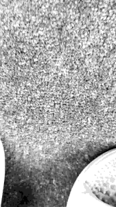 Flowid20 - sandal karet rematik pijat sandal refleksi sandal duri 122