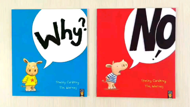 Little Tiger No! Paperback