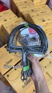 กับดักหนู 6 นิ้ว 1 มัด 10 ชิ้น 120฿