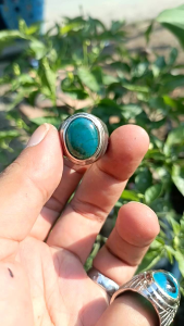 CINCIN BACAN DOKO PLONG AJIB