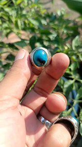 CINCIN BACAN DOKO AJIB NATURAL