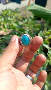 NATURAL BACAN DOKO AJIB