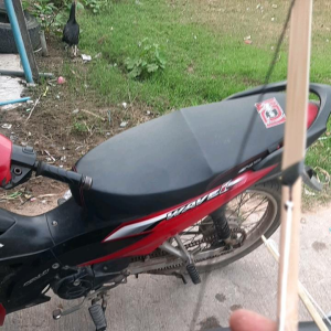 ใบสนูชุด3ใบ..หมายเหตุตอนนี้ใบสีเหลืองหมดะได้สีหวายทั้งหมดไม่มีสีเหลืองนะครับ ดังดีกว่าหวาย.15มม.ยาว90เซนเหมาะกับค้นอ่อน###150-160ซม.