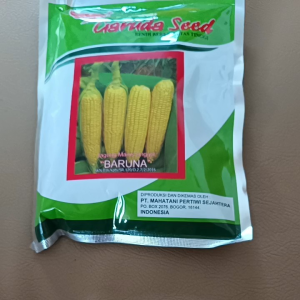 Bibit jagung manis unggul BARUNA 250 gram Garuda Seed