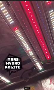 [ส่งฟรี] MARS HYDRO ADLITE UV IR RED เสริมการเจริญเติบโต เสริมดอกต้นไม้ ADLITE LED Model