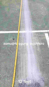 Jala Ikan & Udang Senar 12 Feet 36 Meter Murah