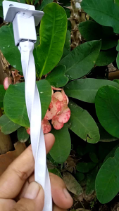 Tralis jendela Ulir portabel panjang 30cm  40cm 50cm 60cm