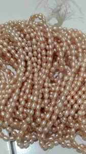 Mutiara Air Tawar Super Lombok