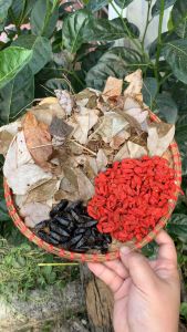 Set Bổ Thận Tráng Dương Bổ Củi + Dâm Dương Hoắc + Kì Tử đỏ - Bổ dươn.g cường gân cốt tăng cườn.g sinh l.ý na.m giới tăng nội tiết tố na.m một cách tự nhiên hỗ trợ các chứng suy giả.m chức năng sin.h l.ý— Đặc Sản 277