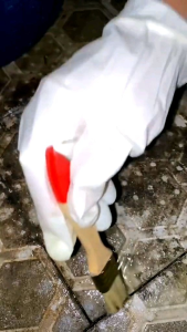 RAJS Toilet CLEANER CAIRAN PEMBERSIH KERAK KAMAR MANDI TOILET WASRAFELKlosettorenalat dapurDLL Kemasan Botol Plastik Produk Ramah Lingkungan Untuk Toilet Pilihan Pengiriman Ekonomi - Lazada