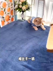 [SG]🚀 Sisal Cat Scratching Board Wear-resistant Non-shedding Large Cat Claw Board Anti-cat Scratch sofa Cat Nest