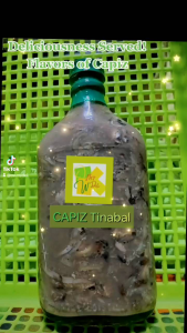 Capiz Tinabal Bagoong Ginamos: Seafood-based Fermented Fish Sauce
