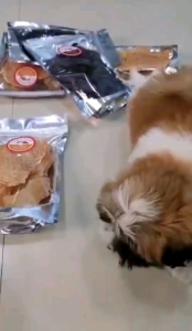 ไก่อบแห้ง สุนัข แมว ไก่อบกรอบ ขนมหมา ขนมแมว Rocky Snack ขนาด 500g. ปริมาณเยอะจุใจ